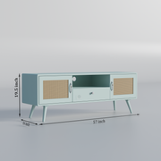 Rozwood Arts Diva Mint Green TV Unit with Cane Doors | Modern Wooden Media Console Cabinet